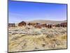 USA, Bodie, California. Mining town, Bodie California State Park.-Joe Restuccia III-Mounted Photographic Print