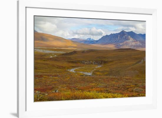 USA, Brooks Range, Gates of the Arctic National Preserve. Autumn color in tundra.-Jaynes Gallery-Framed Premium Photographic Print