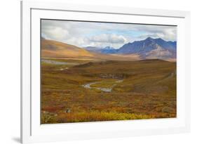 USA, Brooks Range, Gates of the Arctic National Preserve. Autumn color in tundra.-Jaynes Gallery-Framed Premium Photographic Print