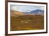 USA, Brooks Range, Gates of the Arctic National Preserve. Autumn color in tundra.-Jaynes Gallery-Framed Premium Photographic Print