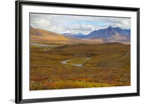 USA, Brooks Range, Gates of the Arctic National Preserve. Autumn color in tundra.-Jaynes Gallery-Framed Premium Photographic Print