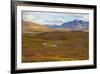 USA, Brooks Range, Gates of the Arctic National Preserve. Autumn color in tundra.-Jaynes Gallery-Framed Premium Photographic Print