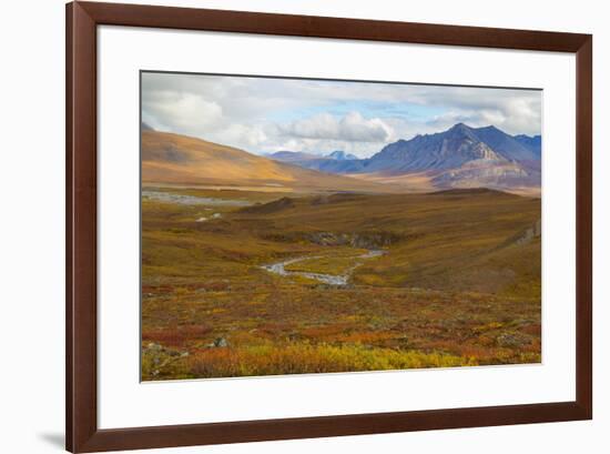 USA, Brooks Range, Gates of the Arctic National Preserve. Autumn color in tundra.-Jaynes Gallery-Framed Premium Photographic Print