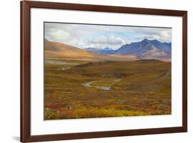 USA, Brooks Range, Gates of the Arctic National Preserve. Autumn color in tundra.-Jaynes Gallery-Framed Premium Photographic Print