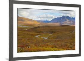 USA, Brooks Range, Gates of the Arctic National Preserve. Autumn color in tundra.-Jaynes Gallery-Framed Premium Photographic Print