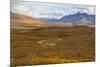 USA, Brooks Range, Gates of the Arctic National Preserve. Autumn color in tundra.-Jaynes Gallery-Mounted Premium Photographic Print