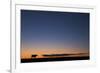 USA, Burchard, Nebraska. Cow at sunset.-Deborah Winchester-Framed Photographic Print