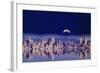 Usa, Ca, Mono Lake, Tufas and Moon (Digital Composite)-Grant Faint-Framed Photographic Print