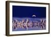 Usa, Ca, Mono Lake, Tufas and Moon (Digital Composite)-Grant Faint-Framed Photographic Print