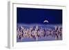 Usa, Ca, Mono Lake, Tufas and Moon (Digital Composite)-Grant Faint-Framed Photographic Print