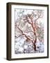 USA, California. a Snow-Covered Manzanita Bush-Jaynes Gallery-Framed Photographic Print