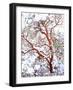 USA, California. a Snow-Covered Manzanita Bush-Jaynes Gallery-Framed Photographic Print