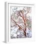 USA, California. a Snow-Covered Manzanita Bush-Jaynes Gallery-Framed Photographic Print