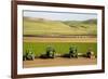 USA, California. Agricultural fields outside King City-Alison Jones-Framed Photographic Print