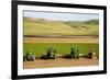 USA, California. Agricultural fields outside King City-Alison Jones-Framed Photographic Print
