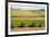 USA, California. Agricultural fields outside King City-Alison Jones-Framed Photographic Print