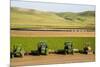 USA, California. Agricultural fields outside King City-Alison Jones-Mounted Photographic Print