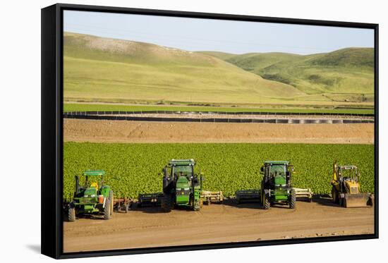 USA, California. Agricultural fields outside King City-Alison Jones-Framed Stretched Canvas