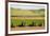 USA, California. Agricultural fields outside King City-Alison Jones-Framed Premium Photographic Print