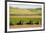 USA, California. Agricultural fields outside King City-Alison Jones-Framed Premium Photographic Print