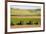 USA, California. Agricultural fields outside King City-Alison Jones-Framed Premium Photographic Print