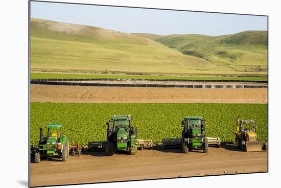 USA, California. Agricultural fields outside King City-Alison Jones-Mounted Premium Photographic Print