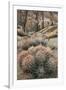 USA, California, Alabama Hills, Cactus-John Ford-Framed Photographic Print