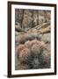 USA, California, Alabama Hills, Cactus-John Ford-Framed Photographic Print