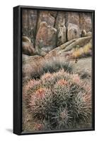 USA, California, Alabama Hills, Cactus-John Ford-Framed Photographic Print