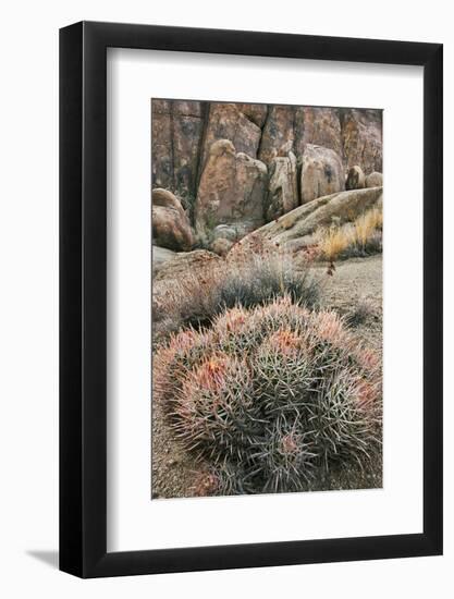 USA, California, Alabama Hills, Cactus-John Ford-Framed Photographic Print