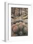 USA, California, Alabama Hills, Cactus-John Ford-Framed Photographic Print