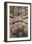 USA, California, Alabama Hills, Cactus-John Ford-Framed Photographic Print