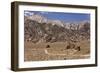 USA, California, Alabama Hills, Eastern Sierra Nevada Mountains-John Ford-Framed Photographic Print