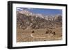 USA, California, Alabama Hills, Eastern Sierra Nevada Mountains-John Ford-Framed Photographic Print