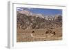 USA, California, Alabama Hills, Eastern Sierra Nevada Mountains-John Ford-Framed Photographic Print