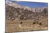 USA, California, Alabama Hills, Eastern Sierra Nevada Mountains-John Ford-Mounted Photographic Print