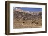 USA, California, Alabama Hills, Eastern Sierra Nevada Mountains-John Ford-Framed Photographic Print