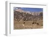 USA, California, Alabama Hills, Eastern Sierra Nevada Mountains-John Ford-Framed Photographic Print