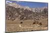 USA, California, Alabama Hills, Eastern Sierra Nevada Mountains-John Ford-Mounted Photographic Print