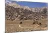 USA, California, Alabama Hills, Eastern Sierra Nevada Mountains-John Ford-Mounted Photographic Print