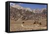 USA, California, Alabama Hills, Eastern Sierra Nevada Mountains-John Ford-Framed Stretched Canvas