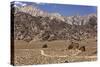 USA, California, Alabama Hills, Eastern Sierra Nevada Mountains-John Ford-Stretched Canvas