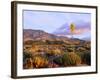 USA, California, Anza-Borrego Desert State Park. Agave Wildflowers-Jaynes Gallery-Framed Photographic Print