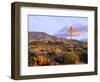 USA, California, Anza-Borrego Desert State Park. Agave Wildflowers-Jaynes Gallery-Framed Photographic Print