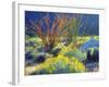 USA, California, Anza-Borrego Desert State Park. Blooming Ocotillo-Jaynes Gallery-Framed Photographic Print