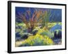 USA, California, Anza-Borrego Desert State Park. Blooming Ocotillo-Jaynes Gallery-Framed Photographic Print