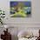 USA, California, Anza-Borrego Desert State Park. Blooming Ocotillo-Jaynes Gallery-Photographic Print displayed on a wall