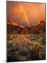 USA, California, Anza-Borrego Desert State Park. Rainbow over desert mountains at sunrise.-Jaynes Gallery-Mounted Photographic Print