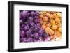 USA, California Baywood, Los Osos Farmers Market-Trish Drury-Framed Photographic Print