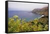 USA, California, Big Sur. Coastline landscape in summer.-Jaynes Gallery-Framed Stretched Canvas